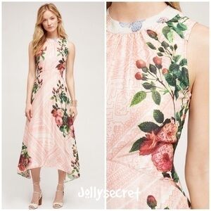 💋Rare Anthropologie Pankaj & Nidhi butterfly garden midi dress. Size 4